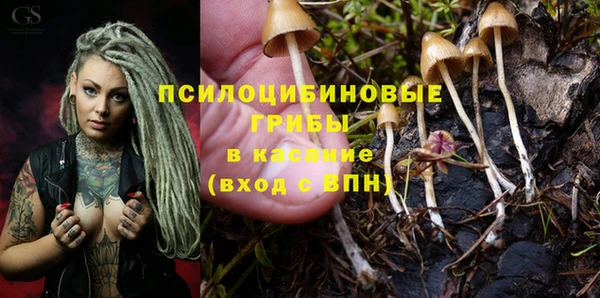 сатива Нея