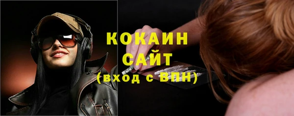 сатива Нея