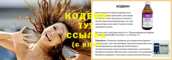 прущие грибы Нефтегорск